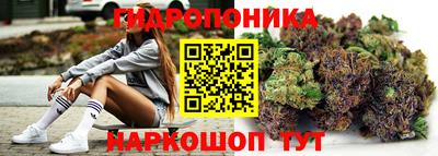 a pvp Гусиноозёрск