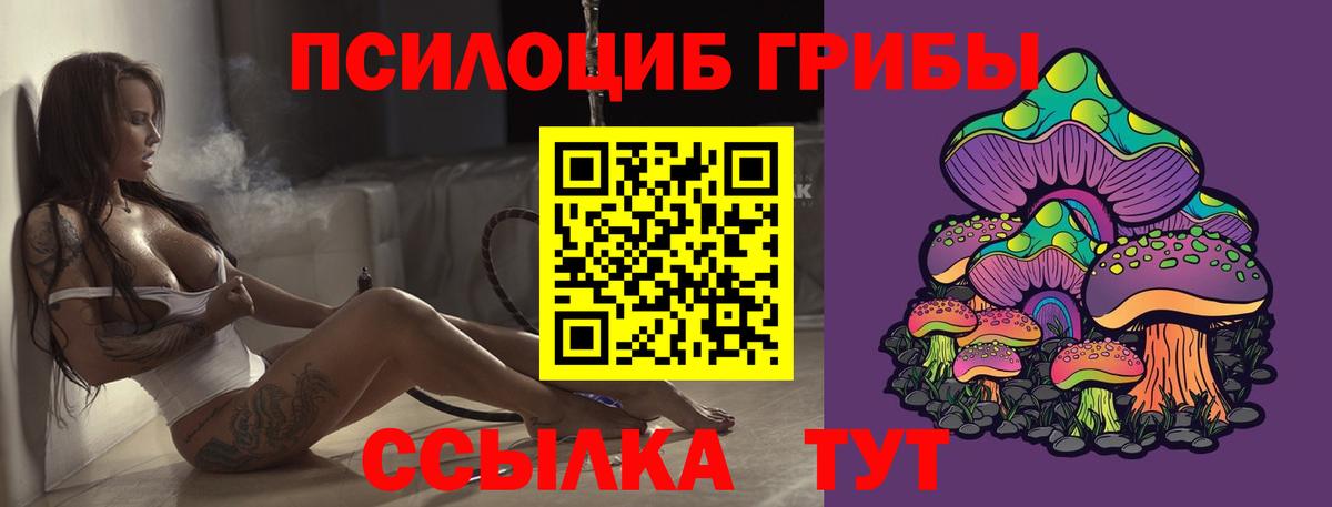 Пушкино  Псилоцибиновые грибы Cubensis  Вход с VPN 
